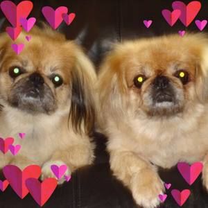 Meet your Posher, Vickie